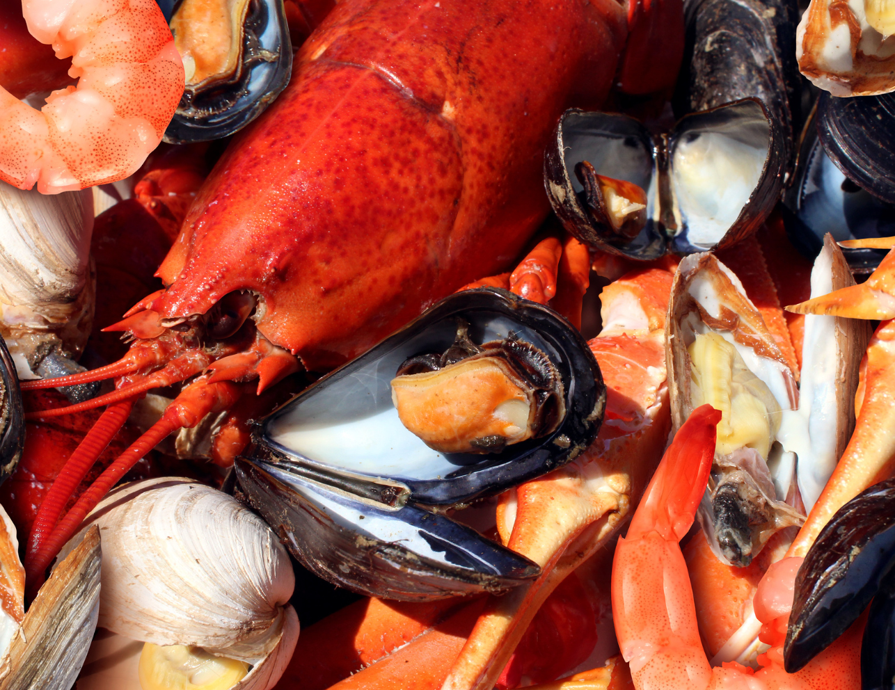 Mariscos de la carta de El Motocarro en Torremolinos