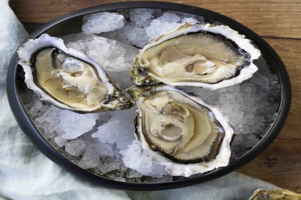 ostra-gillardeau3 (1)